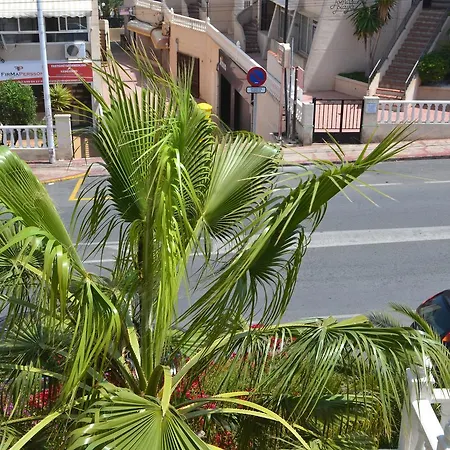 Calle Zeus 2 Apartment Torrevieja
